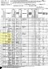 1880 US Census, LA, Grant Parish - B. F. Brian Family [0324]