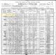 1900 US Census, IA, Pottawattamie Co., Norwalk Twp. - Jerry Kenealy Family [1138]