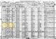 1920 US Census, TX, Collingsworth Co., Pct. 2 - Juliaus W. Voyles Family [1252]