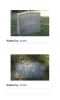 Cemetery Records, IA, Pottawattamie Co., Council Bluffs - George J. Wilmes [2106]