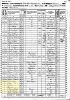 1860 US Census, CA, Sierra Co., Poker Flat- John Haley Family [2420]