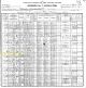 1900 US Census, MO, Miller Co., Richwoods - Leroy M. Nickles Family [3529]