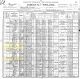 1900 US Census, MN, Scott Co., Spring Lake - Michael, James & Daniel Doyle Families [3691]
