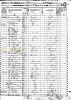 1850 US Census, CA, Colusa Co. - B. H. Quigley [4361]