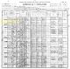 1900 US Census, MO, Nodaway, Skidmore - Charles Painter Family [4606]