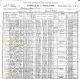 1900 US Census, NY, Oswego Co., Richland Twp. - Arthur J. & Milton T. Morgan Families [4806]