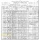 1900 US Census, TX, Fannin Co., Pct. 3 - William McDuffy Family [5222]