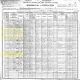 1900 US Census, MT, Gallatin Co., Bridger Pct. - Eli Walker & John W. Pallett Families [5295]