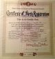 Certificate of Birth Registration - Mary Virginia Ryder [5326]