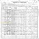 1900 US Census, MT, Fergus, Cottonwood - W. J. Beck Family [6093]